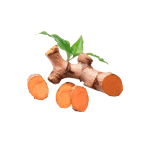 Haridra