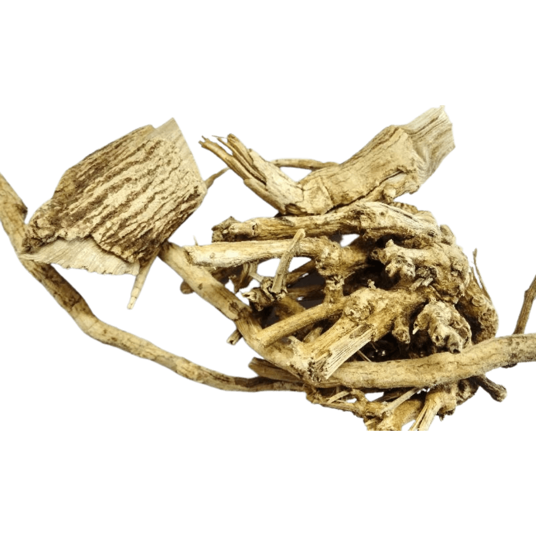 Jeevanti